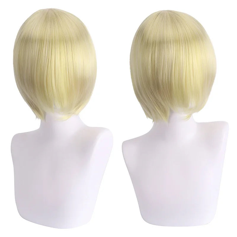 Customizable Cosplay Wig