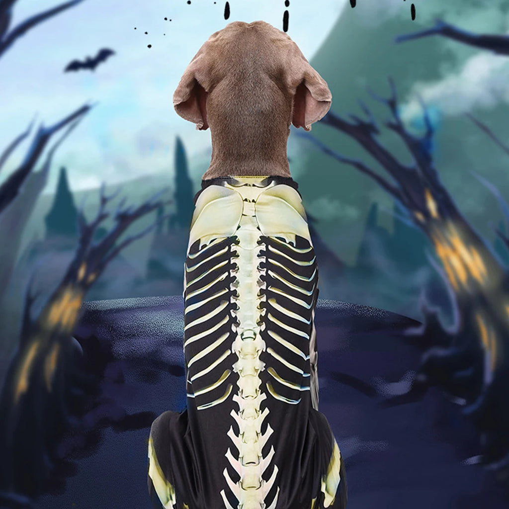 Pet Skeleton Costume