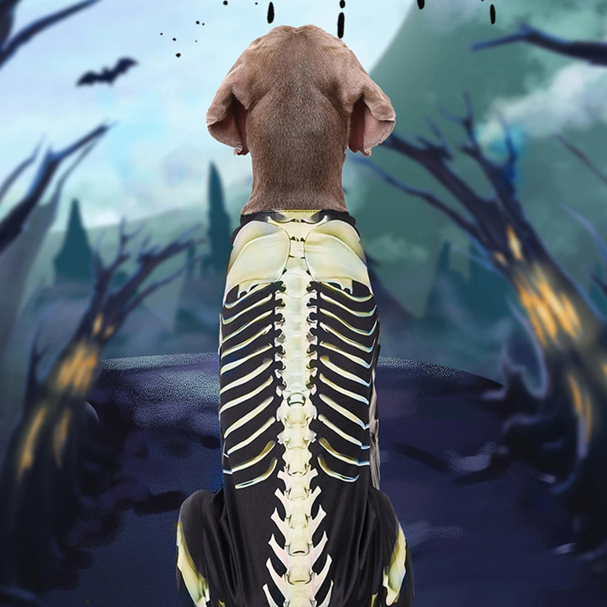 Pet Skeleton Costume