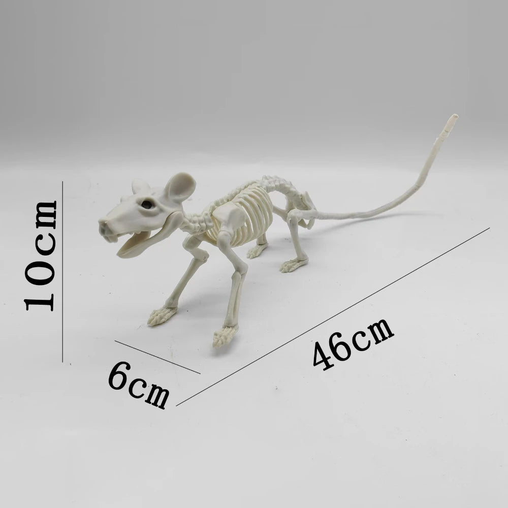 Cat and Mouse Skeleton Set
