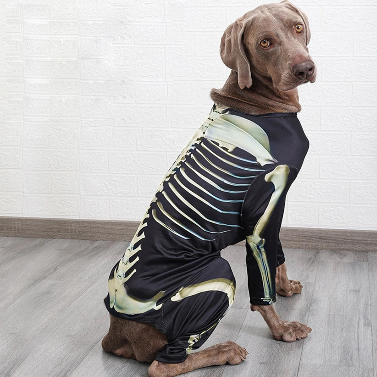 Pet Skeleton Costume