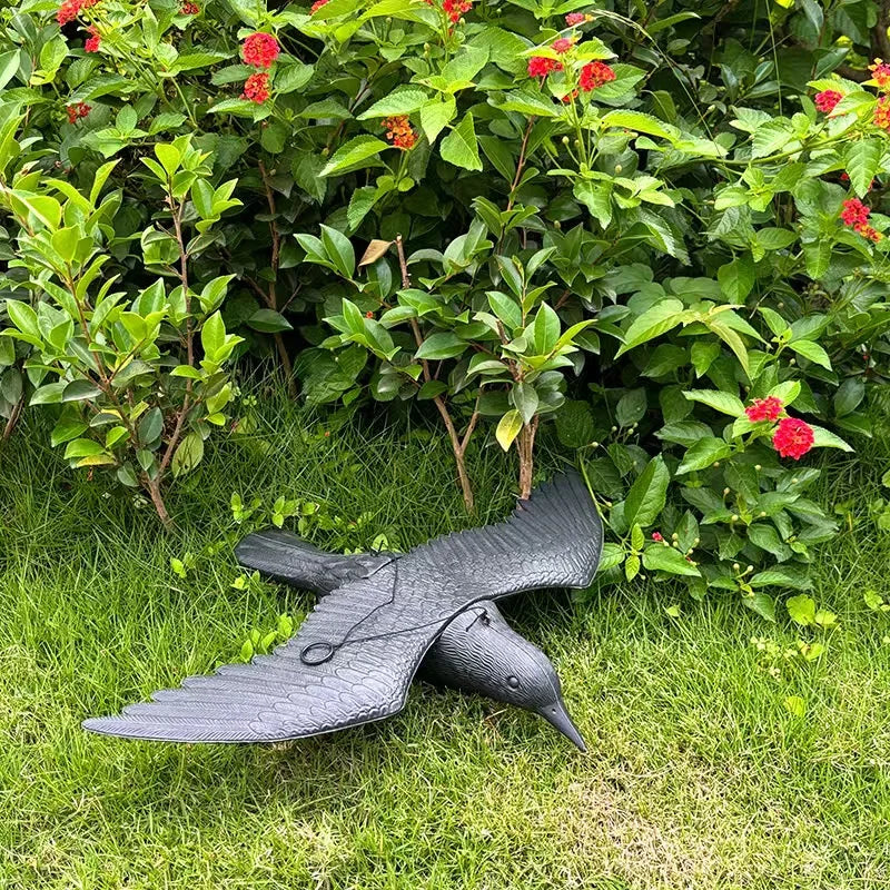 Black Crow Bird Simulation (Raven)
