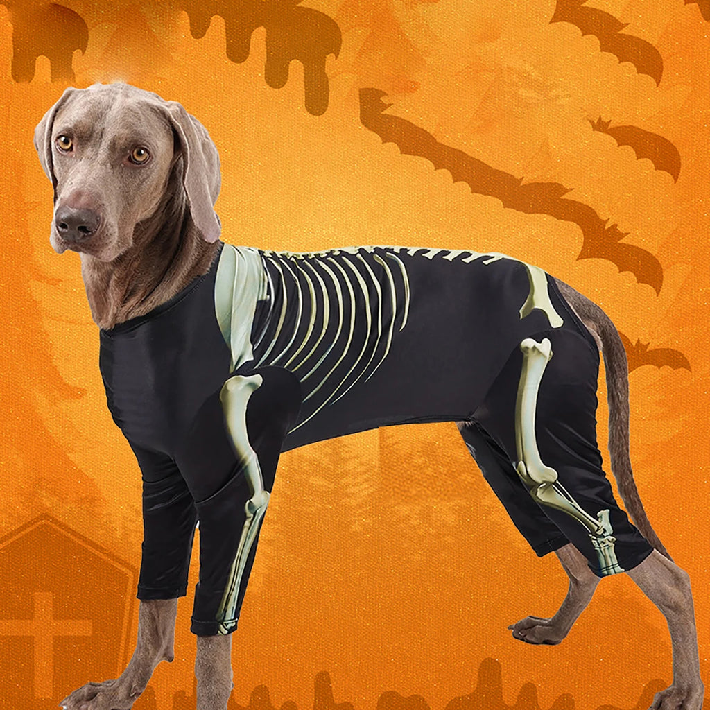 Pet Skeleton Costume