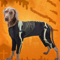 Pet Skeleton Costume