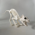 Cat and Mouse Skeleton Set
