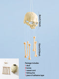 Skull Bone Wind Chime