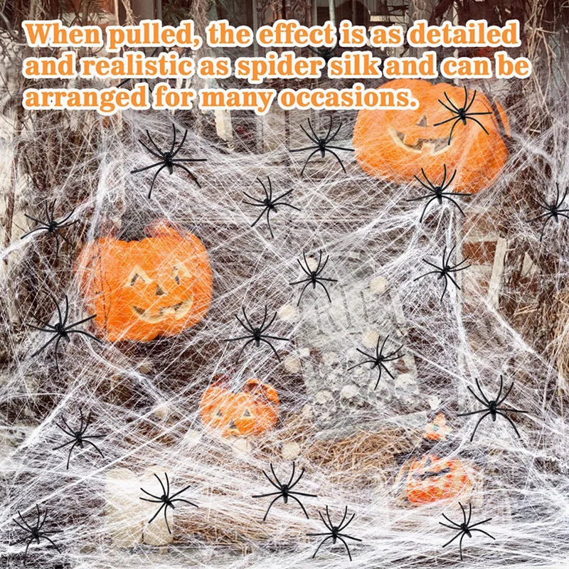 Stretchy Spider Web with Spiders