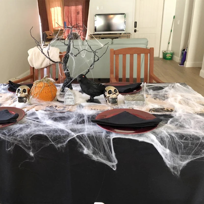 Stretchy Spider Web Cobweb (Bar/Indoor)