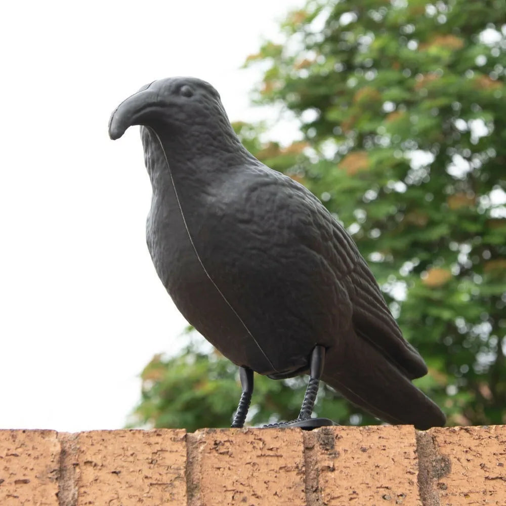 Black Life-Size Crow