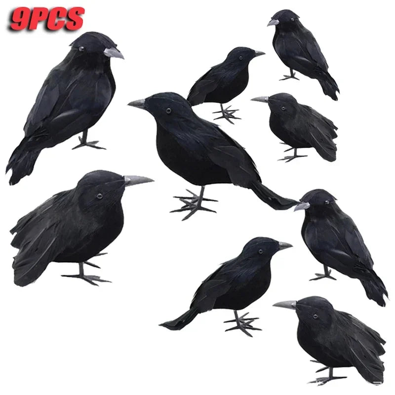 Black Feather Crow Set (1-6pc)