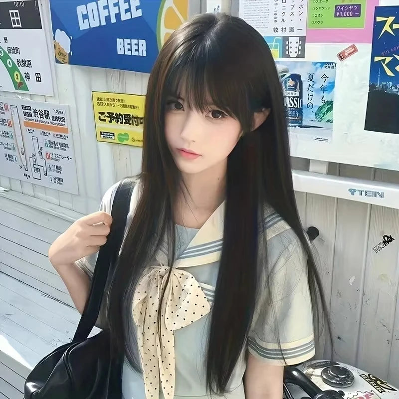 Sleek Black Straight Wig