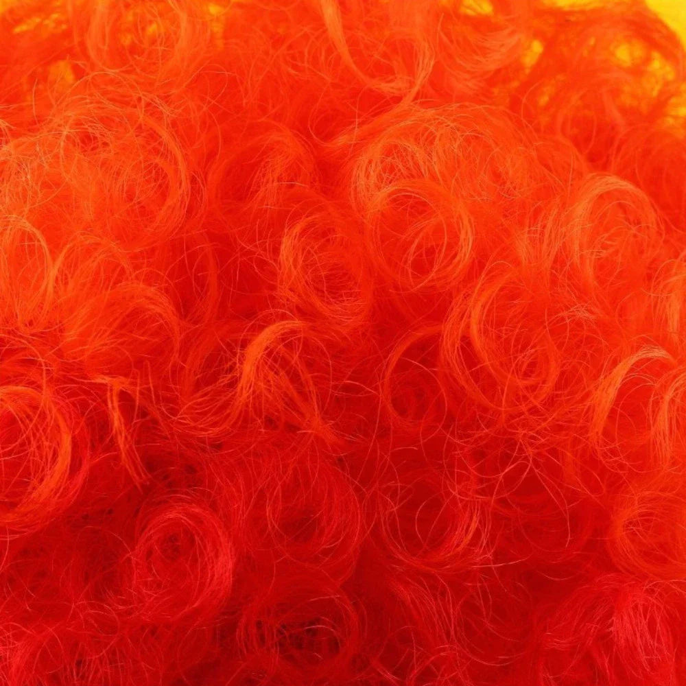 Curly Afro Clown Wig