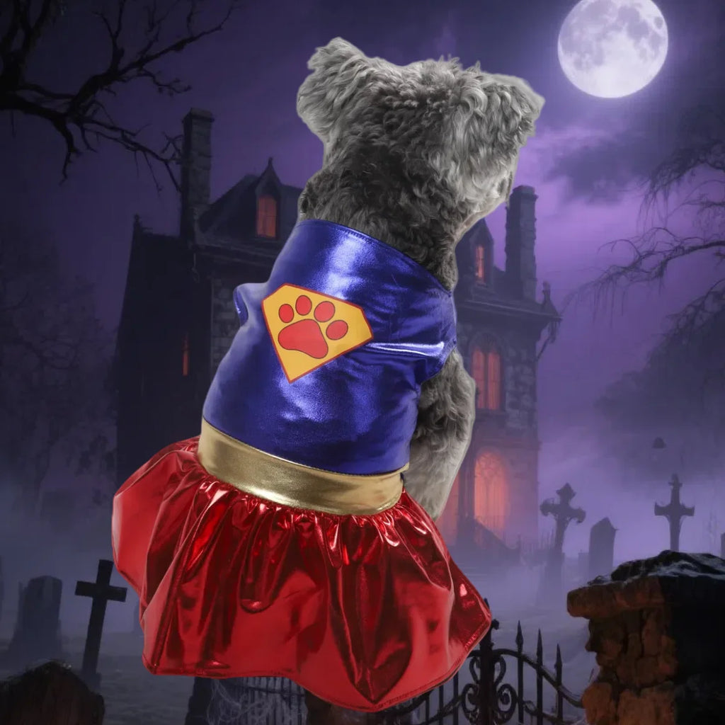 Halloween Dog Dress