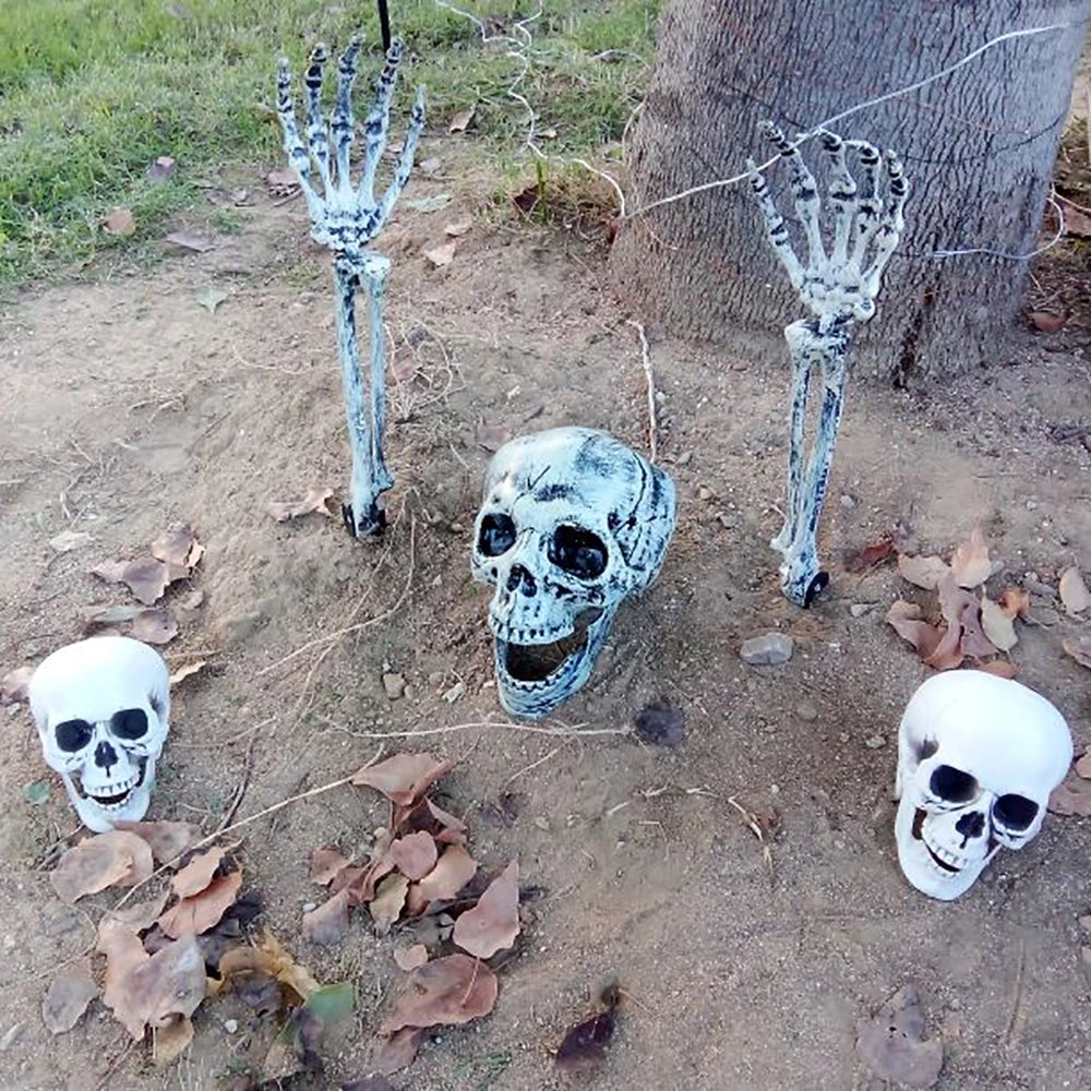 Realistic Plastic Skull Decoration